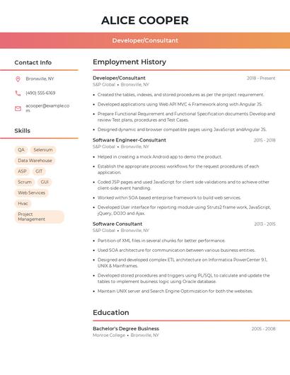 Developer/Consultant Resume