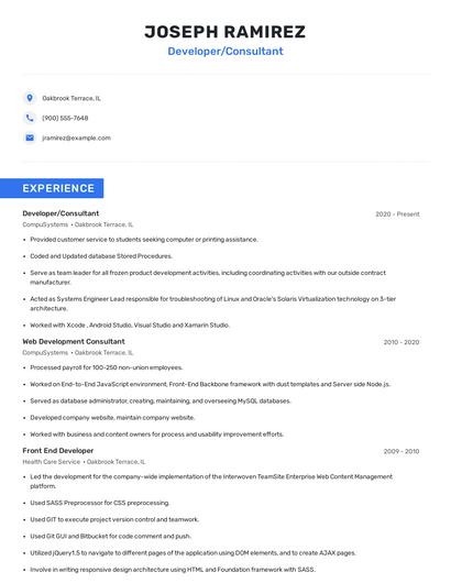 Developer/Consultant Resume