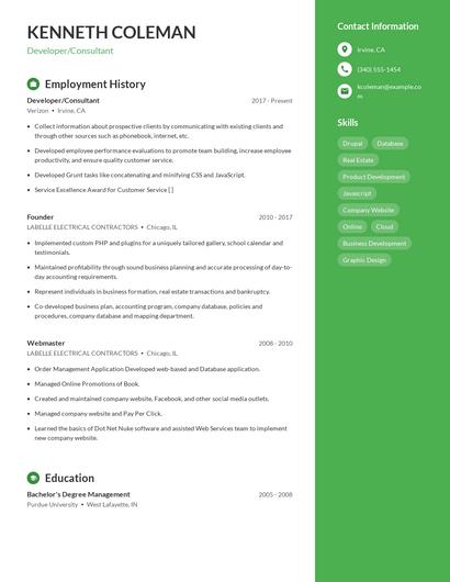 Developer/Consultant Resume