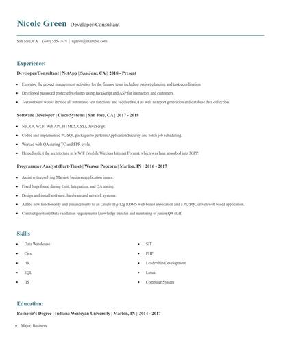 Developer/Consultant Resume
