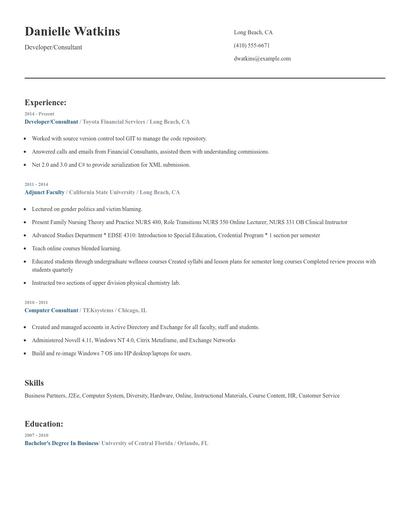Developer/Consultant Resume