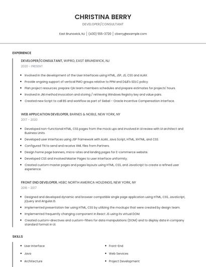 Developer/Consultant Resume