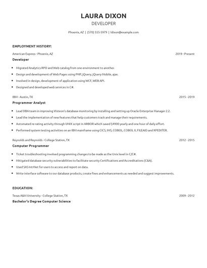 Developer Resume