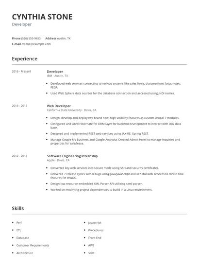 Developer Resume