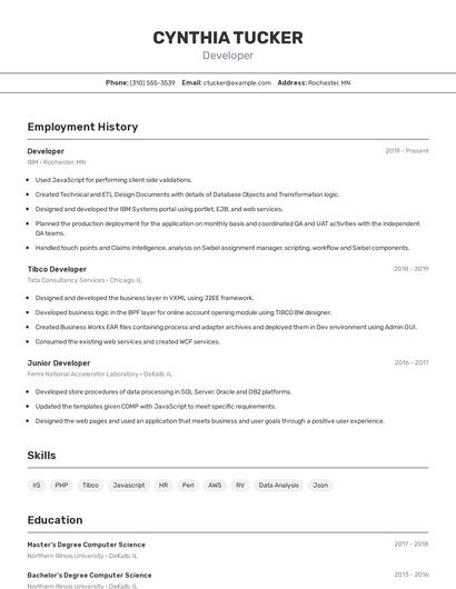 Developer Resume