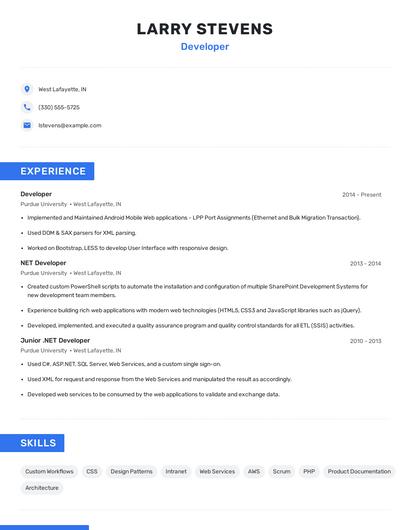 Developer Resume
