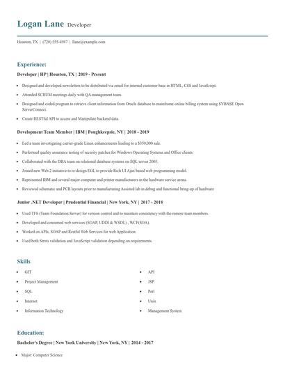 Developer Resume