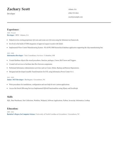 Developer Resume