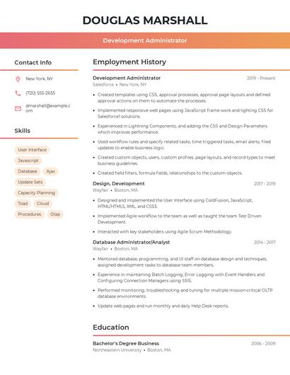 Resume example 3
