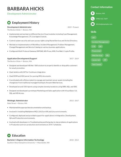 Resume example 4