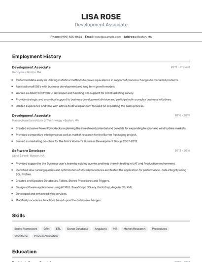 Resume example 2