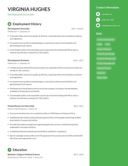 Resume example 4