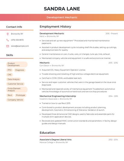 Development Mechanic Resume