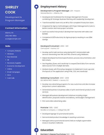 Resume example 4