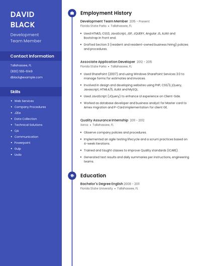 Resume example 4