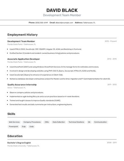 Resume example 2