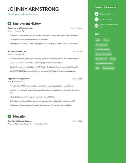 Resume example 5