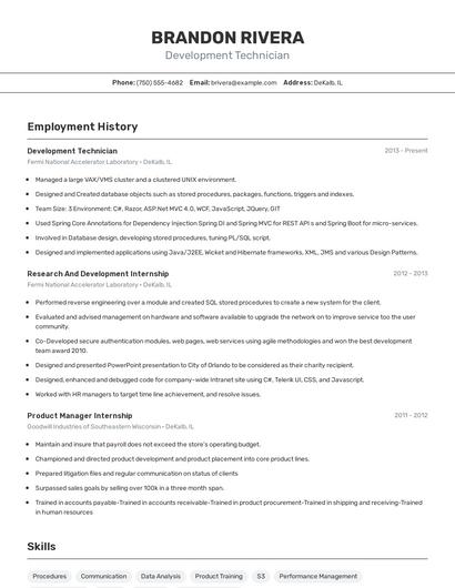 Resume example 2