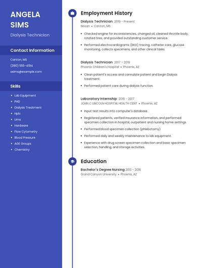 Resume example 5
