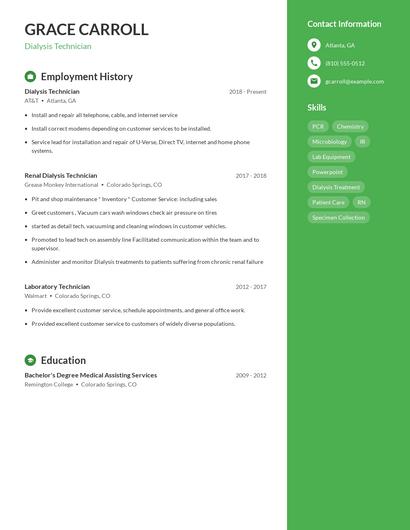 Resume example 4