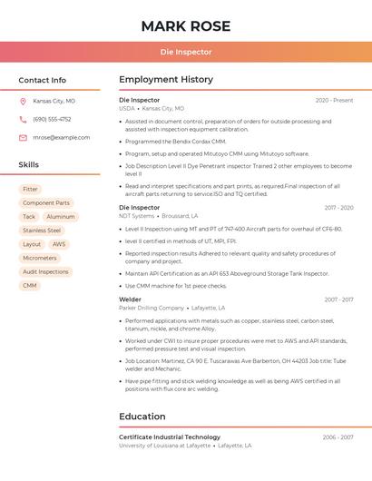 Die Inspector Resume