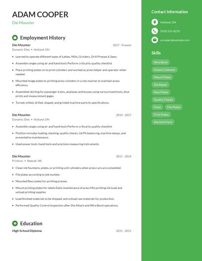 Die Mounter Resume