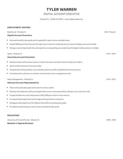 Digital Account Executive Resume