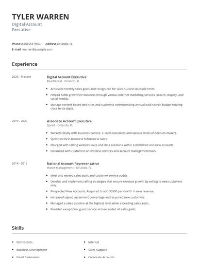 Digital Account Executive Resume