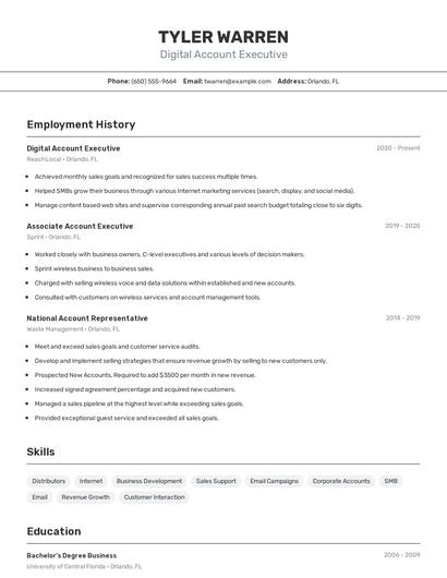 Digital Account Executive Resume