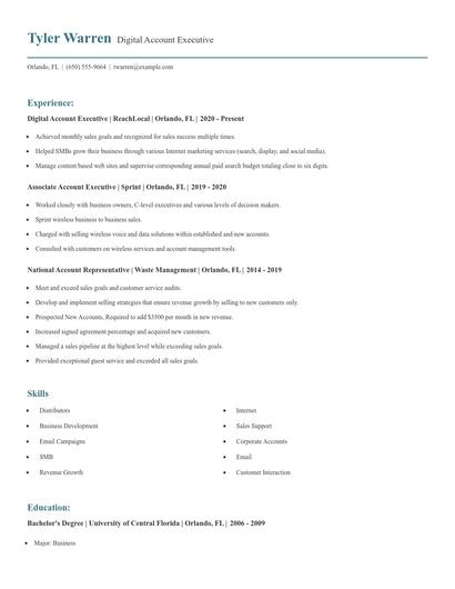 Digital Account Executive Resume