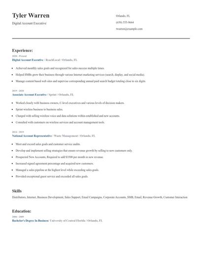 Digital Account Executive Resume