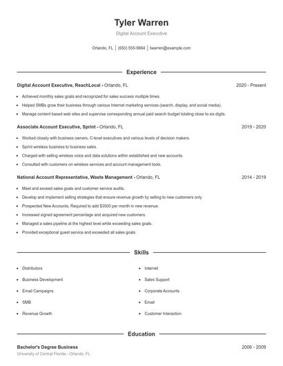 Digital Account Executive Resume