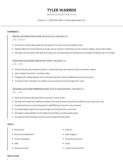Digital Account Executive Resume
