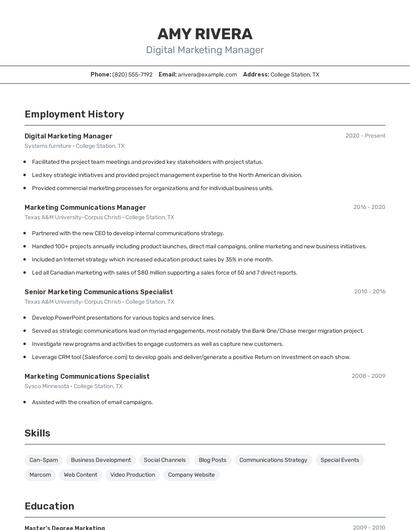 Resume example 2
