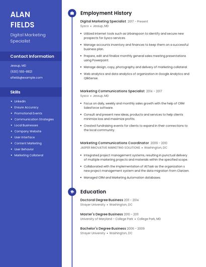 Resume example 4