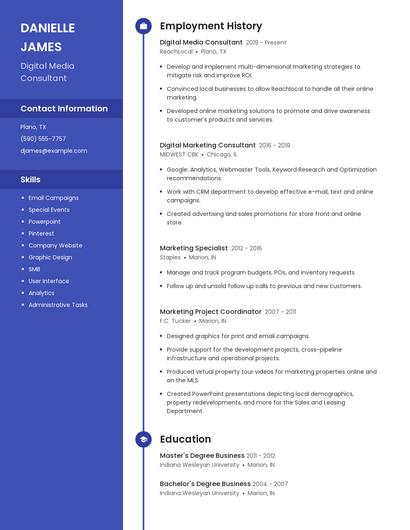 Digital Media Consultant Resume
