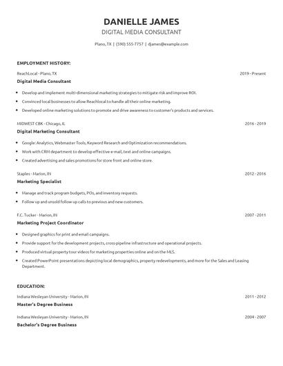 Digital Media Consultant Resume