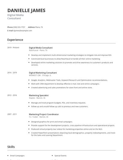 Digital Media Consultant Resume