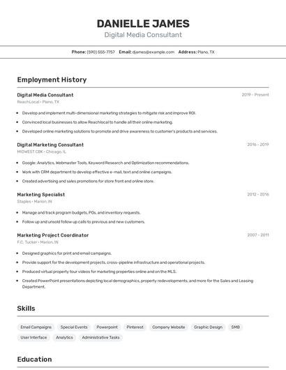 Digital Media Consultant Resume