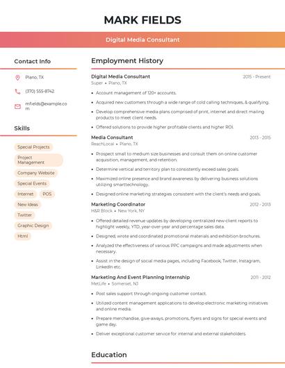 Digital Media Consultant Resume