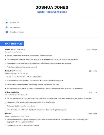 Digital Media Consultant Resume