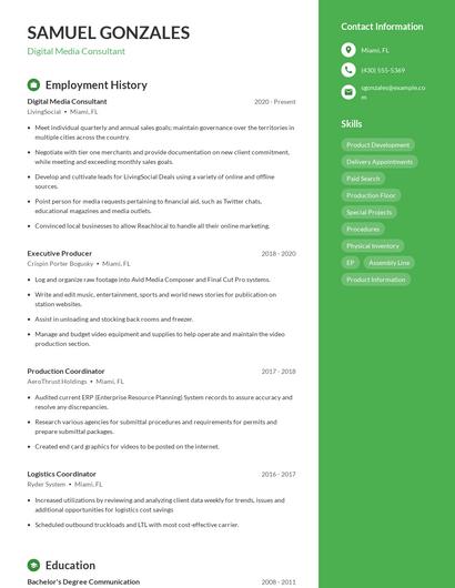 Digital Media Consultant Resume