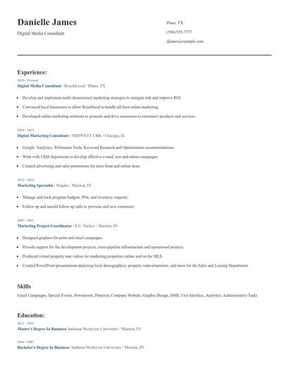 Digital Media Consultant Resume