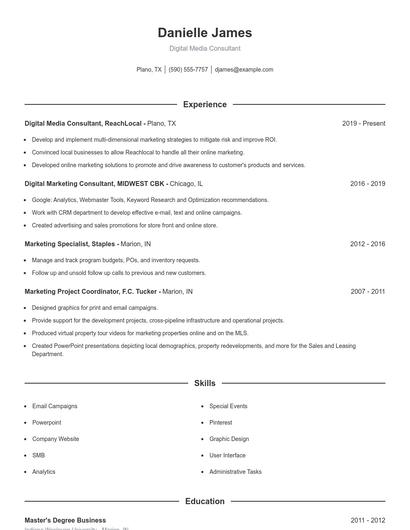 Digital Media Consultant Resume