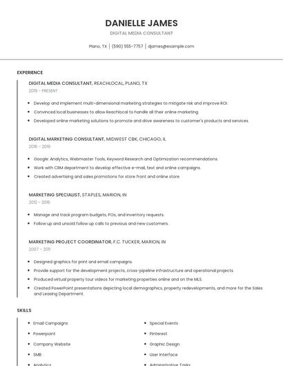 Digital Media Consultant Resume
