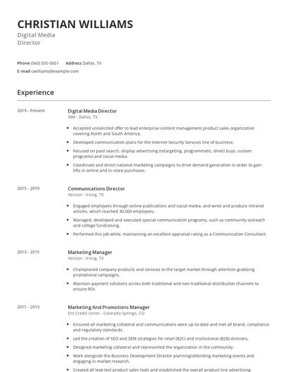 Digital Media Director Resume