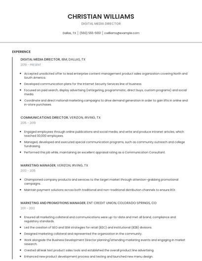 Digital Media Director Resume