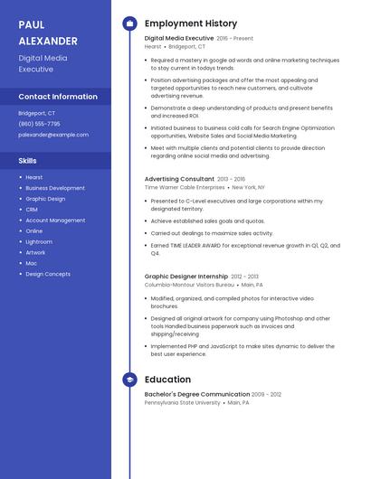 Digital Media Executive Resume