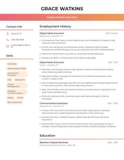 Digital Media Executive Resume