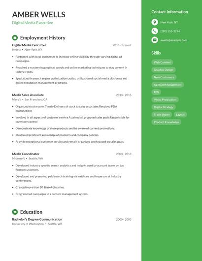 Digital Media Executive Resume